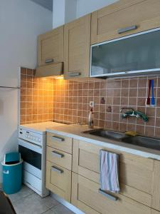 eine Küche mit Holzschränken und einem Waschbecken in der Unterkunft Elios Summer House in Neo Klima