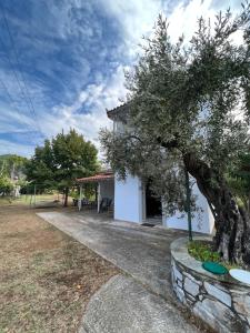 Zahrada ubytování Elios Summer House