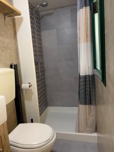 a bathroom with a toilet and a shower at Mobile home Comfort Viareggio - Including airco -Camping Paradiso- R028 in Viareggio