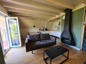 een woonkamer met een bank en een open haard bij Vakantiehuisje in Gramsbergen in Gramsbergen