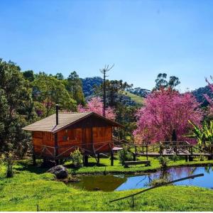 une cabine au milieu d'un champ avec un étang dans l'établissement Chalé Caminho da Montanha, à Gonçalves