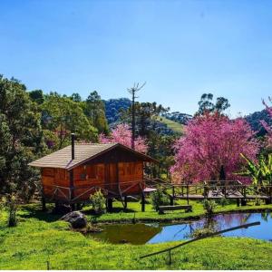 a cabin in the middle of a field with a pond at Chalé Caminho da Montanha in Gonçalves