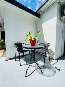 stół z doniczką na patio w obiekcie Our Lovely Nest, Free Parking & Wi-Fi w Miami