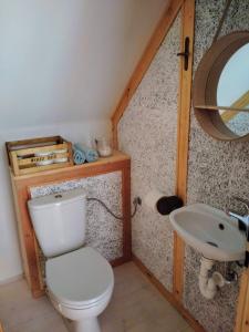 ein Bad mit einem WC und einem Waschbecken in der Unterkunft Nature Homestay in Trenčín