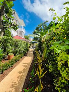 a walkway in front of a building with plants at Summer House Inn San Andres in San Andrés