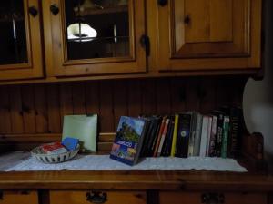 The library in Az apartmant