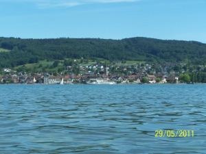 a large body of water with a town in the background at Ferienhaus Haus am Ufer in Gaienhofen