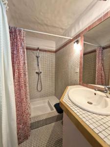 a bathroom with a tub and a sink and a shower at Gîtes Elusate in Eauze