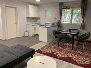 Η κουζίνα ή μικρή κουζίνα στο Stefánia Apartmanok Budapest