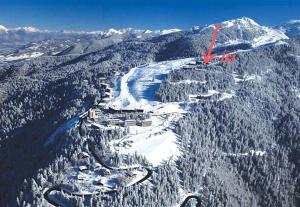 una vista aérea de una montaña cubierta de nieve en Family apartment on the skiing slope en Allevard