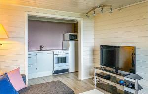 ein Wohnzimmer mit einem TV und einer Küche in der Unterkunft 1 Bedroom Cozy Apartment In ydegard 
