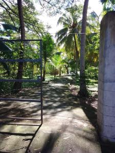 a gate in the middle of a path with palm trees at Rancho Tranquillo in Moyogalpa
