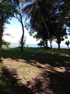 a field with trees and the ocean in the background at Rancho Tranquillo in Moyogalpa