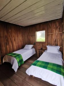 2 camas en una habitación con paredes de madera en BIRDGLAMPING LOS ÁRBOLES-Estación Biológica LA GUAYANA, en Salento