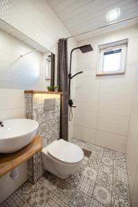 een badkamer met een wastafel, een toilet en een douche bij Centre Premium in Pärnu