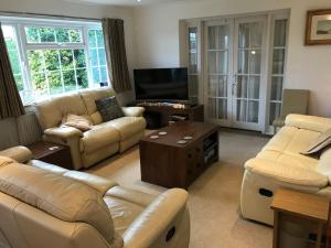 ein Wohnzimmer mit 2 Sofas und einem TV in der Unterkunft Lovekush Epsom Banstead Surrey. Views over London in Ewell