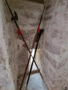 Fotografia z galérie ubytovania Partie de Château du XI ieme à Canet d'Aude v destinácii Canet d'Aude