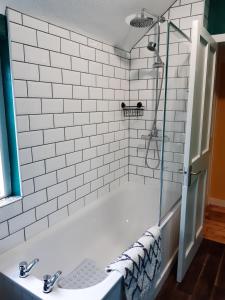 a bathroom with a shower and a sink at The Burnside Apartment in Fettercairn