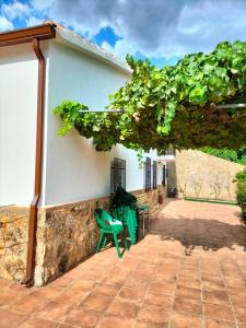 里奧帕爾的住宿－Casa Arroyo de la Celada，一个带两把绿色椅子的庭院和一座建筑
