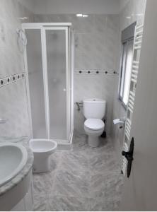 ein Bad mit einem WC, einer Dusche und einem Waschbecken in der Unterkunft Casa Arroyo de la Celada in Riópar