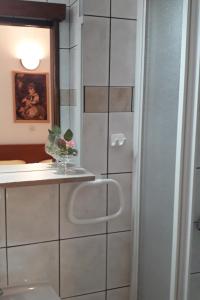 uma casa de banho com um WC, um lavatório e um espelho. em Apartments with a parking space Baska Voda, Makarska - 2609 em Baska Voda