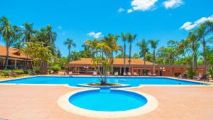 a large swimming pool with a palm tree in the middle at Complejo Americano in Puerto Iguazú