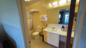 a bathroom with a toilet and a sink and a mirror at Yosemite Gateway Motel in Lee Vining