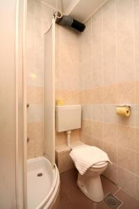 a small bathroom with a toilet and a shower at Apartments and rooms by the sea Slano, Dubrovnik - 2682 in Slano