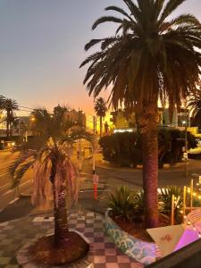 a group of palm trees on a city street at Heart of St Kilda in Melbourne