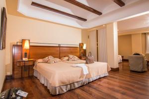 Gallery image of Hotel Abades Guadix in Guadix