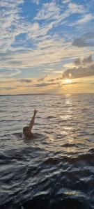eine Ente, die bei Sonnenuntergang im Wasser schwimmt in der Unterkunft Refúgio Samauma in Manaus
