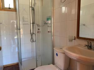 W łazience znajduje się prysznic, toaleta i umywalka. w obiekcie Parcela Doña Leo w mieście Puerto Ingeniero Ibáñez