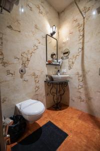 a bathroom with a toilet and a sink at Stay Shaandaar a boutique hotel Amritsar in Amritsar