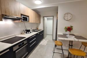 Kuchyň nebo kuchyňský kout v ubytování Anavai apartment + 16 fotografií
