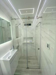 a white bathroom with a shower and a sink at Alegria Hostal in Santiago de los Caballeros