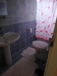 a bathroom with a sink and a toilet and a shower curtain at Aydınlar yayla evi in Çarşıbaşı