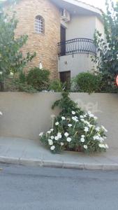 Un mazzo di fiori bianchi sul lato di un edificio di Nikola's House a Limassol