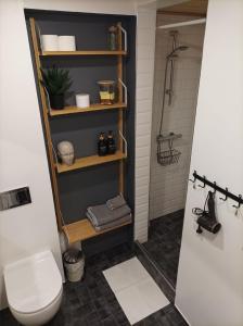 a bathroom with a toilet and a shower at Gonsiori Apartment in Tallinn