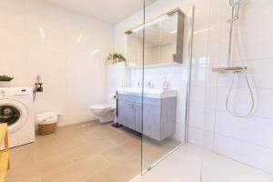 a bathroom with a shower and a sink and a toilet at Weisses Lamm in Hallstatt