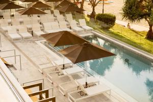 un grupo de sillas y sombrillas junto a una piscina en Netanya Noosa - Beachfront Resort en Noosa Heads