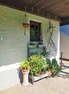a house with a window and some plants in pots at Urlaub im schönen Nussdorf/Inn in Nußdorf am Inn