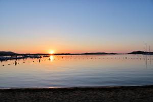 um pôr-do-sol sobre um lago com pássaros na água em CAMPING LES ILOTS D'OR em Porto-Vecchio