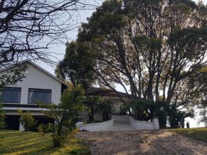 uma casa branca com árvores e uma entrada de tijolos em Paradise View Guesthouse em Graskop