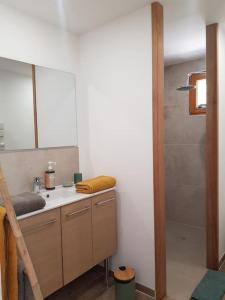 uma casa de banho com um lavatório e um chuveiro em Le petit écureuil em Saint-Saturnin-dʼApt