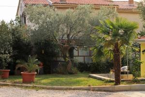 Fotografie z fotogalerie ubytování Apartments with a parking space Rovinj - 2401 v Rovinji
