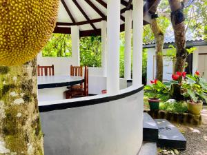 a table and chairs on a porch with a durian tree at drongo place in Dickwella