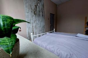 Gulta vai gultas numurā naktsmītnē Hostelis R27