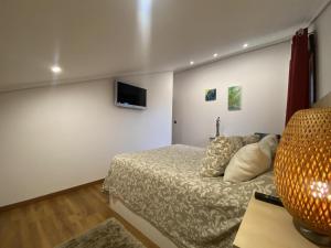 usgo beach apartment في Miengo: غرفة نوم مع سرير وتلفزيون على الحائط