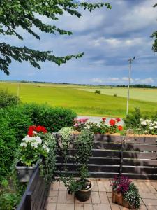 een bank met bloemen en een veld op de achtergrond bij FeWo Min Egen in Neukirchen in Neukirchen