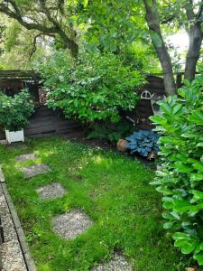 un jardin avec des rochers, des plantes et des arbres dans l'établissement FeWo Min Egen in Neukirchen, à Neukirchen